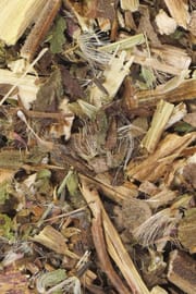 Wasserdostkraut