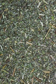 Wasserminzenkraut