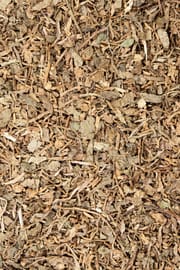 Wassernabelkraut, indisch Tropfen - Tinktur