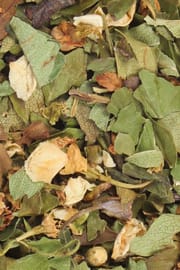 Weißdornblätter m.Blüten Tropfen - Tinktur