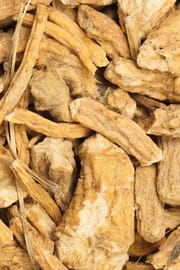 Windschutzwurzel Salbe