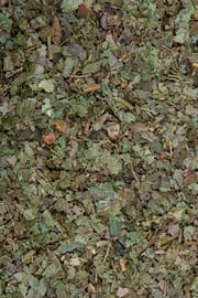Zaubernußblätter Tropfen - Tinktur