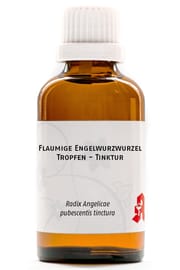 Flaumige Engelwurzwurzel Tropfen - Tinktur