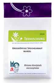 Grossköpfige Speichelkrautwurzel