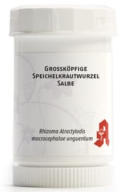 Grossköpfige Speichelkrautwurzel Salbe