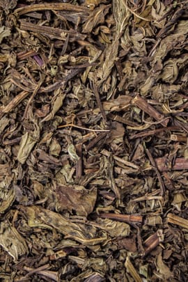 Chinesische Ackerminze Tropfen - Tinktur