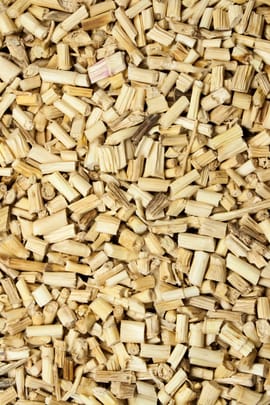 Alang Alang Graswurzelstock Tropfen - Tinktur