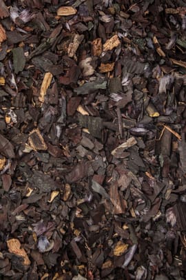 Alkannawurzel Tropfen - Tinktur