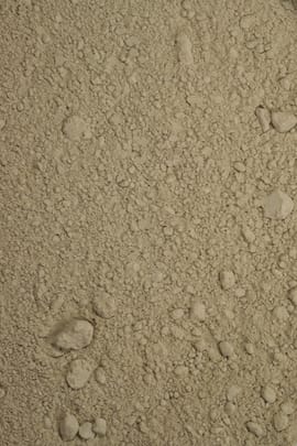 Angelikawurzelpulver