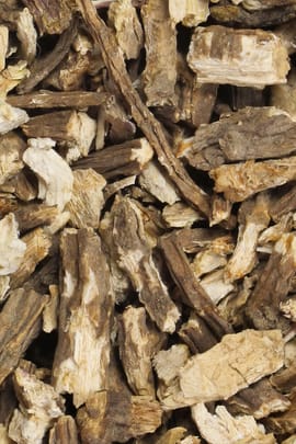 Angelikawurzel Salbe