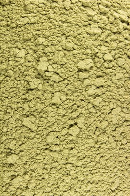 Artischockenkrautpulver