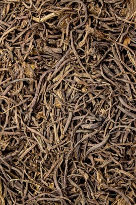 Tatarenasterwurzel Salbe