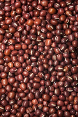 Azukibohnensamen Salbe