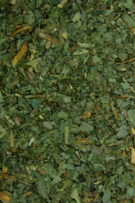 Bärlauchkraut Tropfen - Tinktur