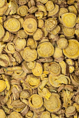 Baikalhelmkrautwurzel