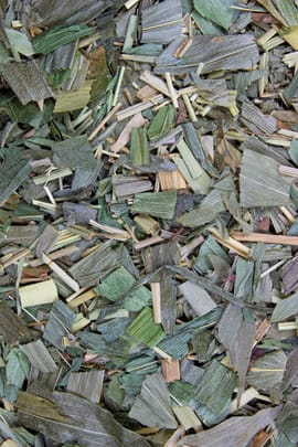 Bambusrohrstreifen Salbe