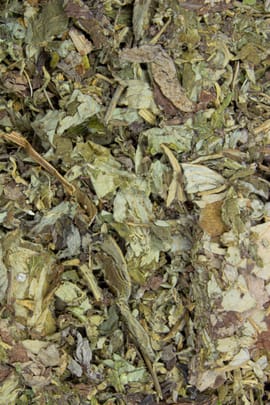 Beifuss, gemeiner Salbe