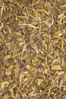 Berberitzenwurzelrinde