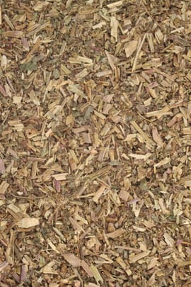 Bingelkraut Tropfen - Tinktur