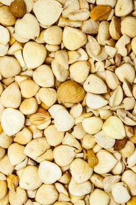 Bittere Aprikosensamen, geschält Tropfen - Tinktur