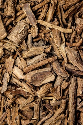 Bocksdornwurzelrinde