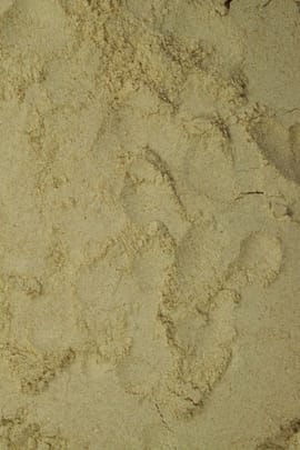 Bockshornkleesamenpulver