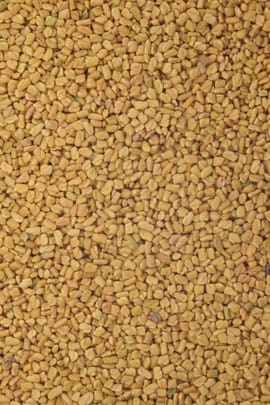 Bockshornkleesamen Tropfen - Tinktur