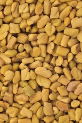 Bockshornkleesamen Tropfen - Tinktur