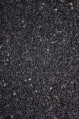 Brandschopfsamen Salbe