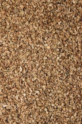 Brenndoldenfrüchte Salbe