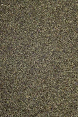 Brennnesselsamen Tropfen - Tinktur