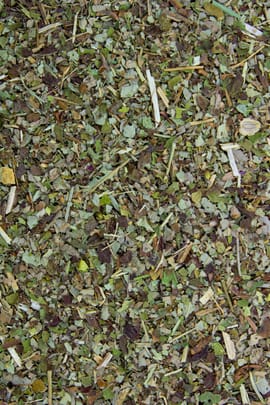 Brombeerblätter Tropfen - Tinktur