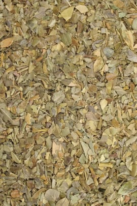 Buchsbaumblätter Salbe