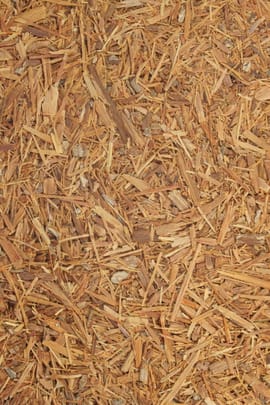 Catuabarindentee Tropfen - Tinktur