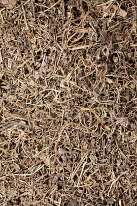 Centipedenkraut Tropfen - Tinktur