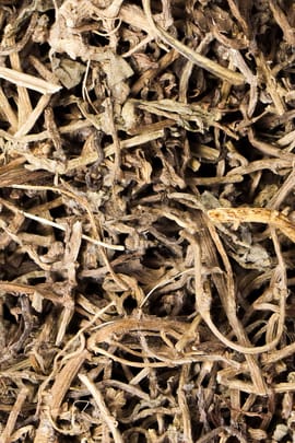 Centipedenkraut