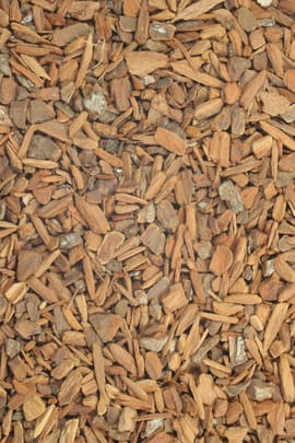 Chinarinde Tropfen - Tinktur