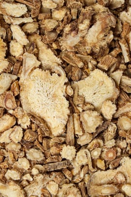 Chinesische Angelikawurzel