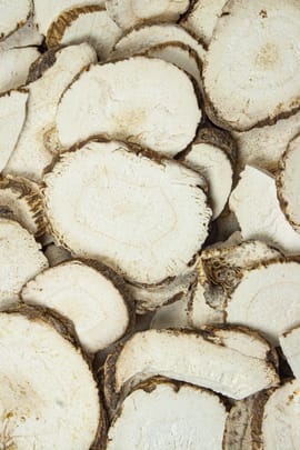 Sibirische Engelwurz