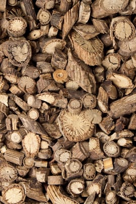 Chinesische Osterluzei Salbe