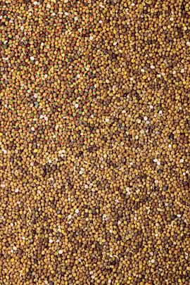 Chinesische Teufelszwirnsamen praep.