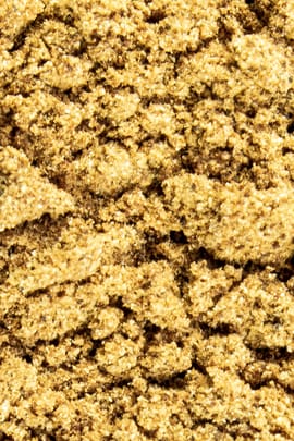 Cordyceps Tropfen - Tinktur