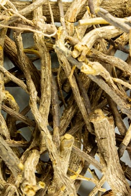 Cryptolepiswurzel Tropfen - Tinktur