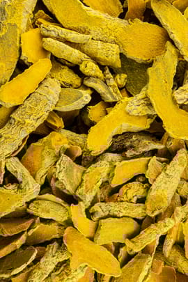 Curcumawurzelknollen