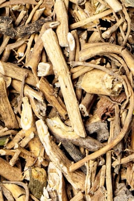 Weidenblättrige Schwalbenwurz Salbe