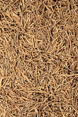 Cynanchumwurzel Salbe