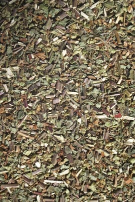 Edler Gamander Tropfen - Tinktur