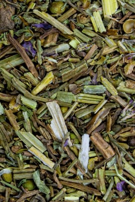Erdrauchkraut