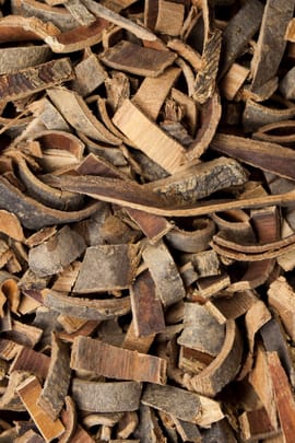 Chinesische Eschenrinde Salbe