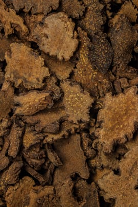 Feuerspornkraut Salbe